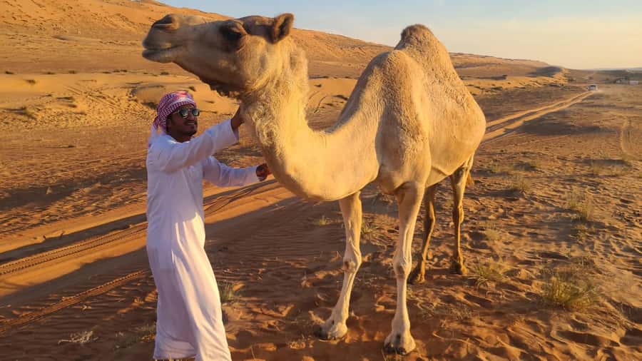 From Agadir: Sahara Desert Day Trip and Camel Ride - A packed 9 hours from Agadir to the Mini Sahara dunes