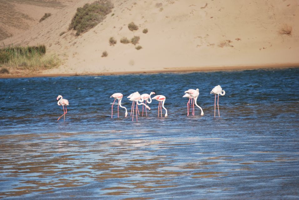 From Agadir: Souss Massa National Park Tour - Price and value: is $96 per person worth it?
