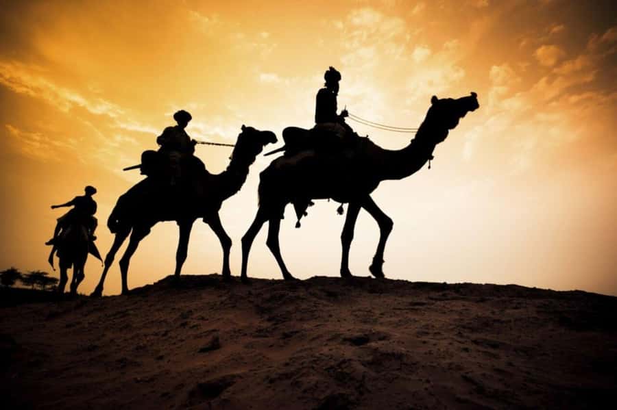 From Agadir: Souss River Camel Ride - The Royal Palace glimpse: short, tasteful, and from a distance