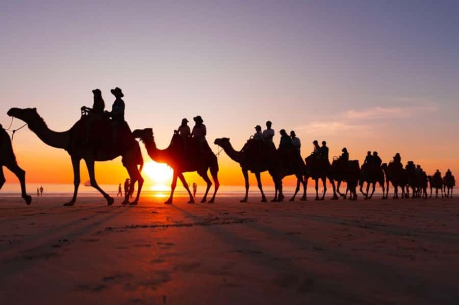 From Agadir: Souss River Camel Ride - Comfort, photos, and guide help: where the experience shines