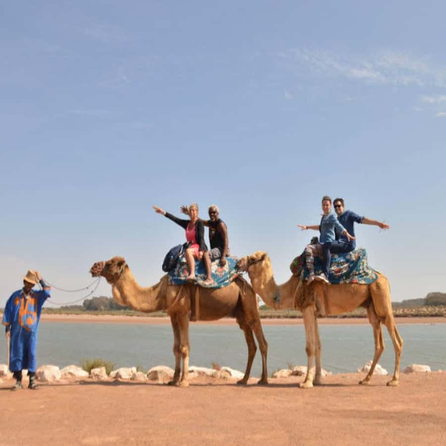 From Agadir: Souss River Camel Ride - Price and value: is $24 per person worth it?