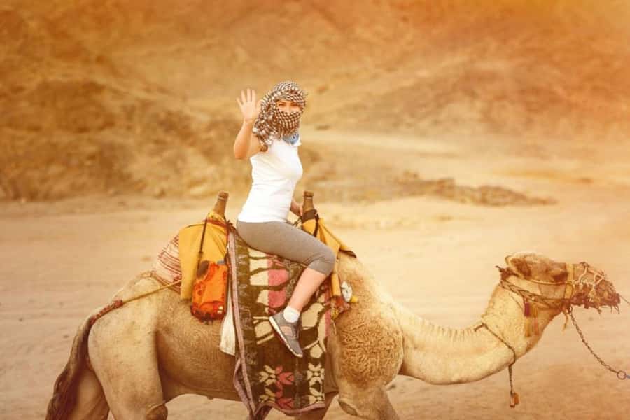 From Agadir: Souss River Camel Ride - Getting there: Agadir or Taghazout pickup and a comfortable ride out