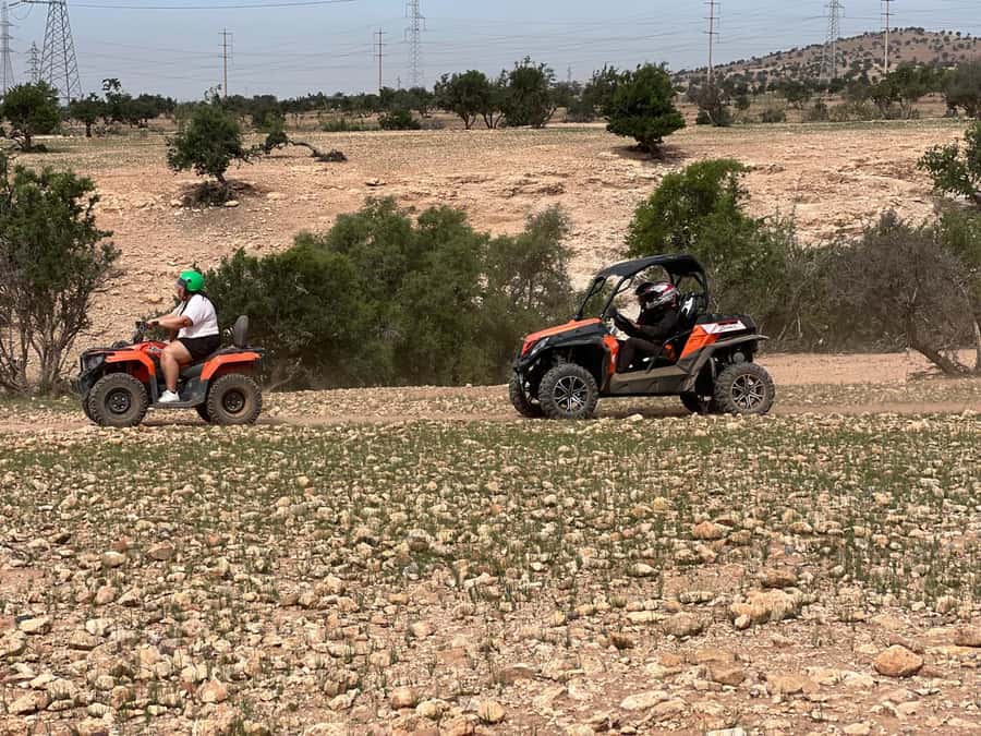 From Agadir/Taghazout: Buggy Safari Adventure & Moroccan Tea - Spotting Goats in Argan Trees: The Photo Moment That Really Counts
