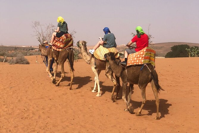 From Agadir/Taghazout: Sahara Sand Dunes – Morning or Sunset Tour - Key things to know before you go