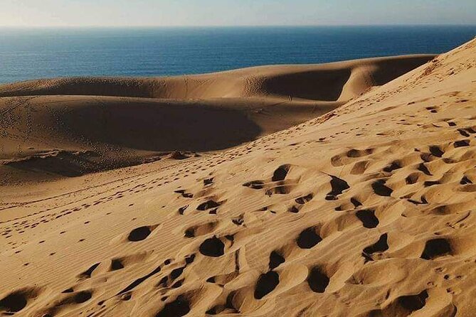 From Agadir/Taghazout: Sahara Sand Dunes – Morning or Sunset Tour - Timlalin Dunes: the half-day Sahara fix from Agadir or Taghazout