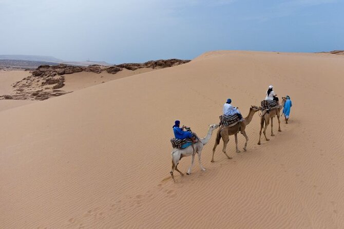 From Agadir/Taghazout: Sahara Sand Dunes – Morning or Sunset Tour - Camel ride at the dunes: optional, fun, and worth planning