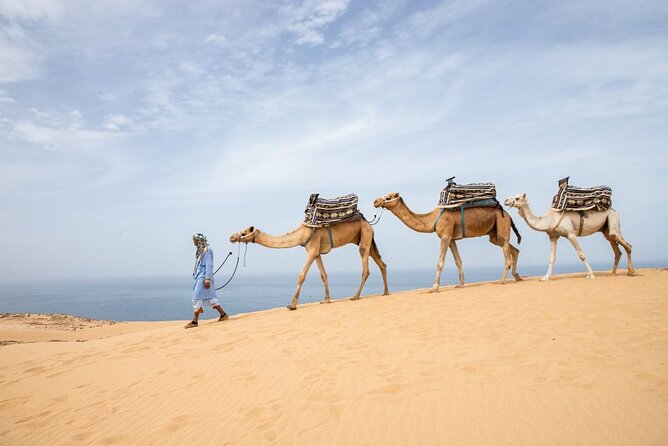From Agadir/Taghazout: Sahara Sand Dunes – Morning or Sunset Tour - Morning vs Sunset: pick your light and your pace