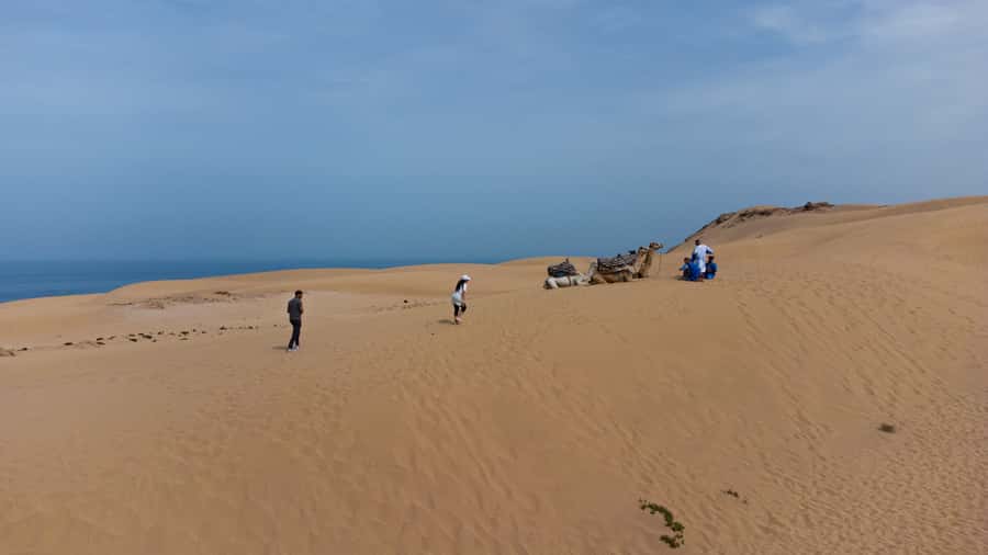 From Agadir/Taghazout: Sahara Sand Dunes with Transfer - What You Can Do Out There: Sandboarding, Camels, and Just Wandering