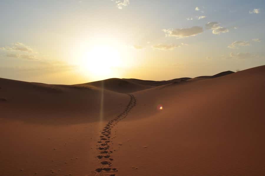 From Agadir/Taghazout: Sahara Sand Dunes with Transfer - Price and Value: What $49 Buys You (and Why It’s Fair)