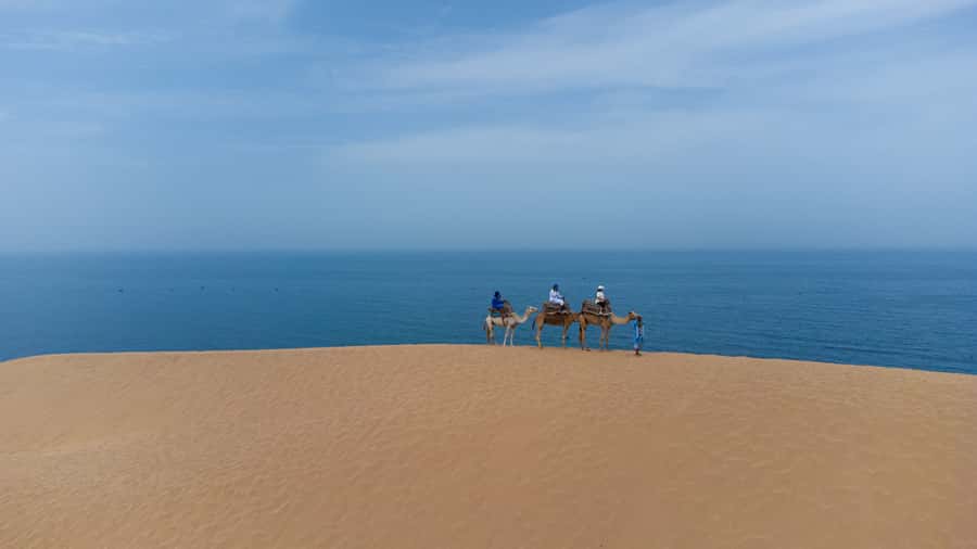 From Agadir/Taghazout: Sahara Sand Dunes with Transfer - When to Go and What to Bring for a Comfortable Dune Evening