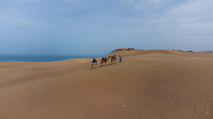 From Agadir/Taghazout: Sahara Sand Dunes with Transfer - Who This Trip Fits Best (and Who Might Want Something Else)
