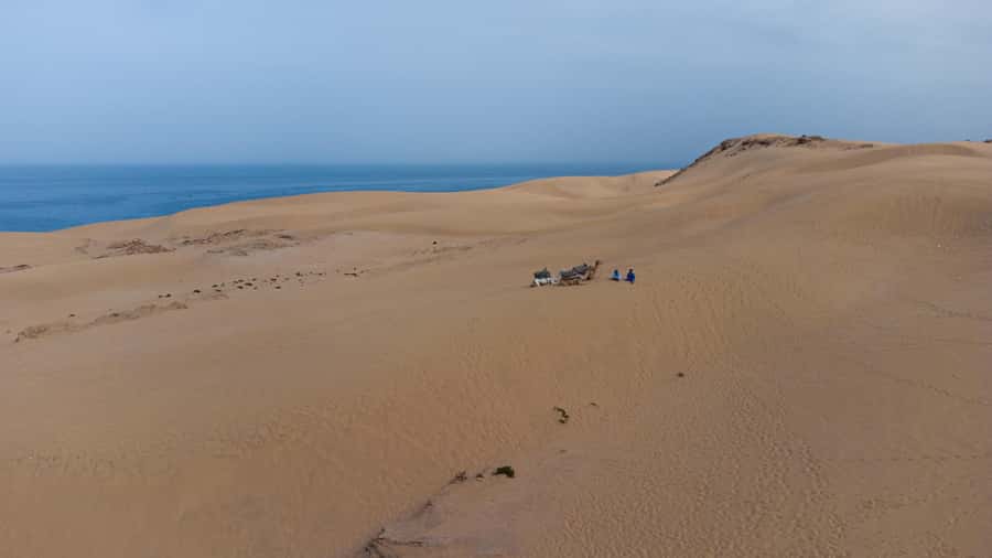 From Agadir/Taghazout: Sahara Sand Dunes with Transfer - The Dunes Where the Sea Shows Up in Every Photo