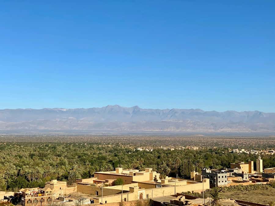 From Agadir: Taroudant and Tiout Day Tour with Lunch - Taroudant’s walls, gates, and market browsing