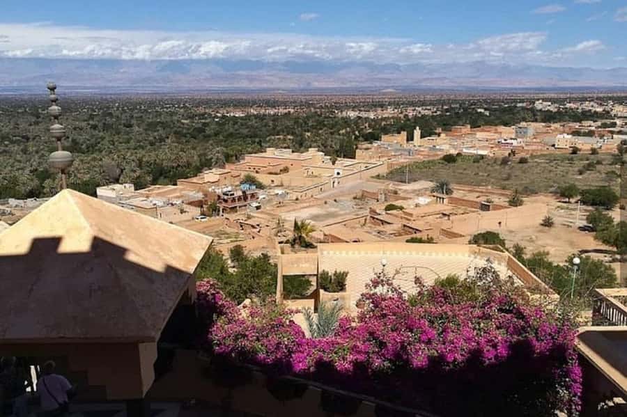 From Agadir: Taroudant and Tiout Day Tour with Lunch - How the guide and small group shape your day