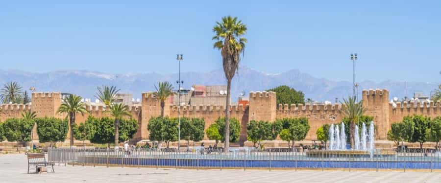 From Agadir: Taroudant & Tiout guided excursion - Agadir Pickup and the Goat Photo Stop: Start Strong