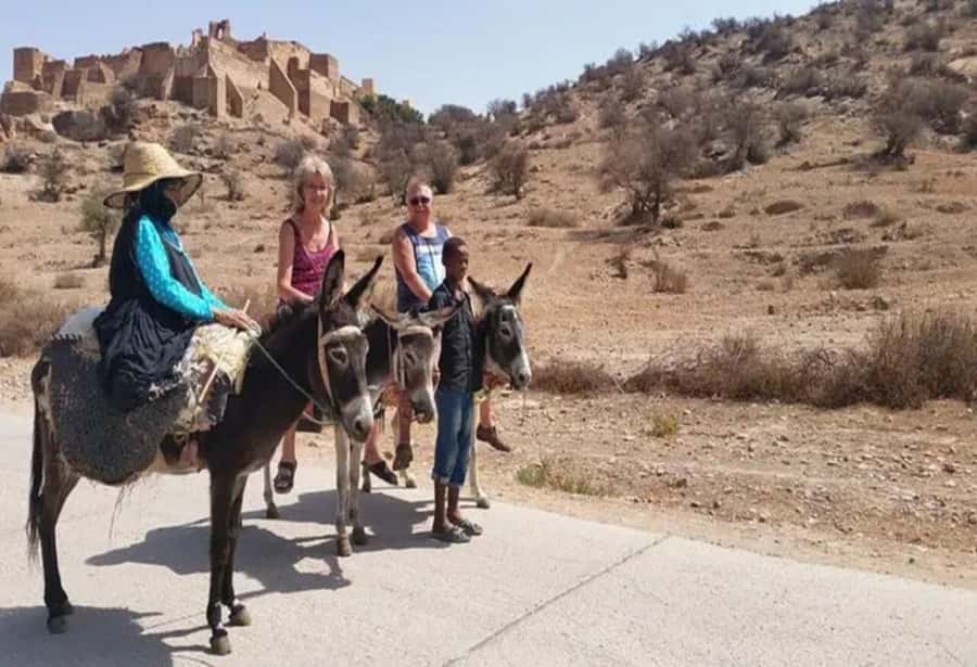 From Agadir: Taroudant & Tiout guided excursion - Tiout Village Walk, Donkey Ride Options, and the Kasbah Connection