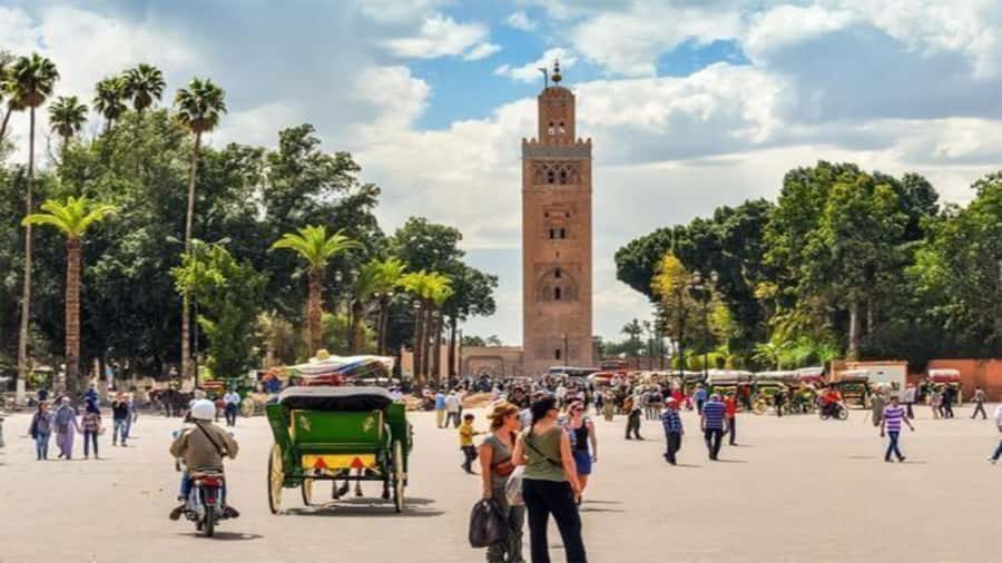 From Casablanca: Day Trip to Marrakech with Camel Ride - Jemaa el-Fnaa at Sunset and Souks Without Getting Weary
