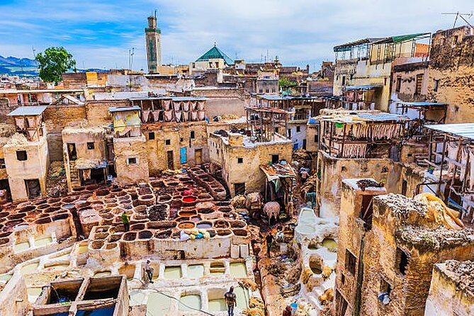 From Casablanca : Fez Guided Tour with Lunch - Chouara Tannery: the famous leather works, made manageable