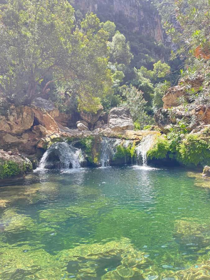 From Chefchaouen: Full-Day Trip to Akchour Waterfalls - God’s Bridge area: the photo moment (and why timing matters)