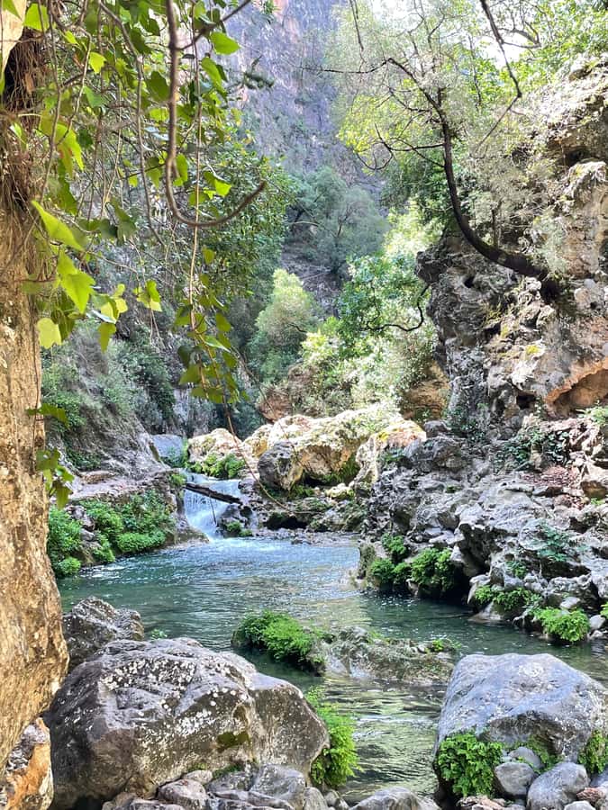 From Chefchaouen: Full-Day Trip to Akchour Waterfalls - The return to Chefchaouen: how the day closes out