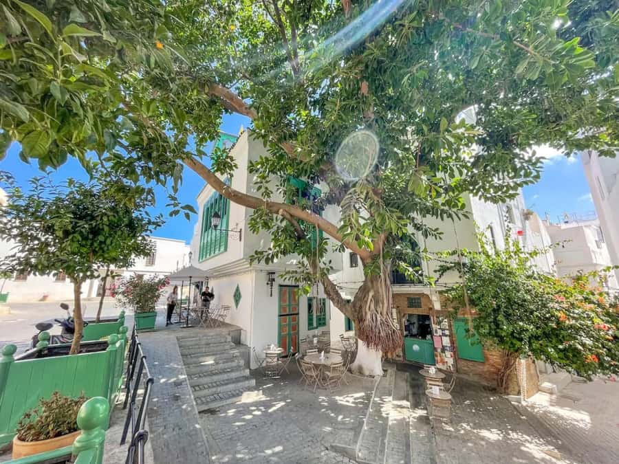From Costa del Sol: Discover Tangier on a Guided Day Trip - Lunch in a typical restaurant: included meal, but plan for drinks
