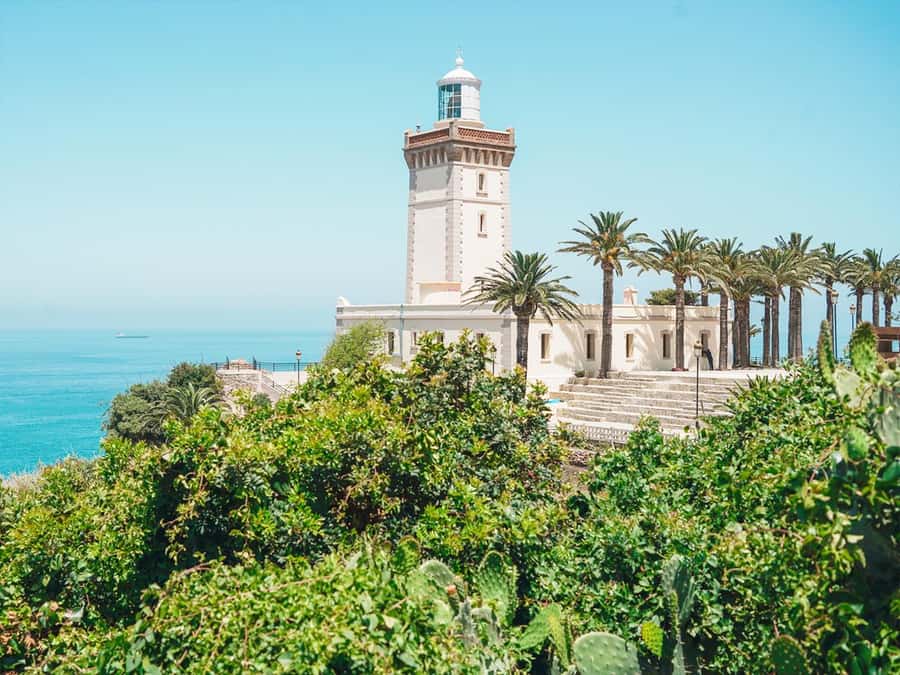 From Costa del Sol: Discover Tangier on a Guided Day Trip - The bus panoramic sweep: Kasbah, Medina, and city center in one overview