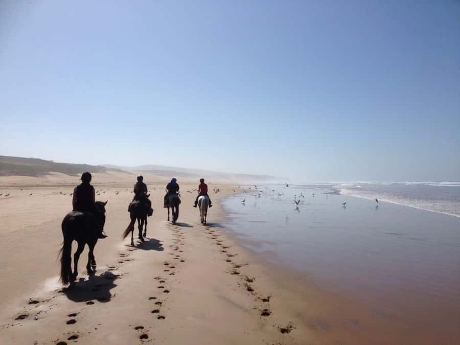 From Essaouira: 1-Hour Horse Ride with sunset - Key points to know before you go