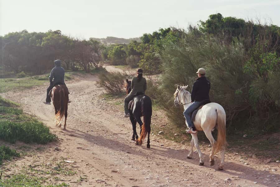 From Essaouira: 1-Hour Horse Ride with sunset - From the city gate to Ranch de Diabat in roughly 15 minutes