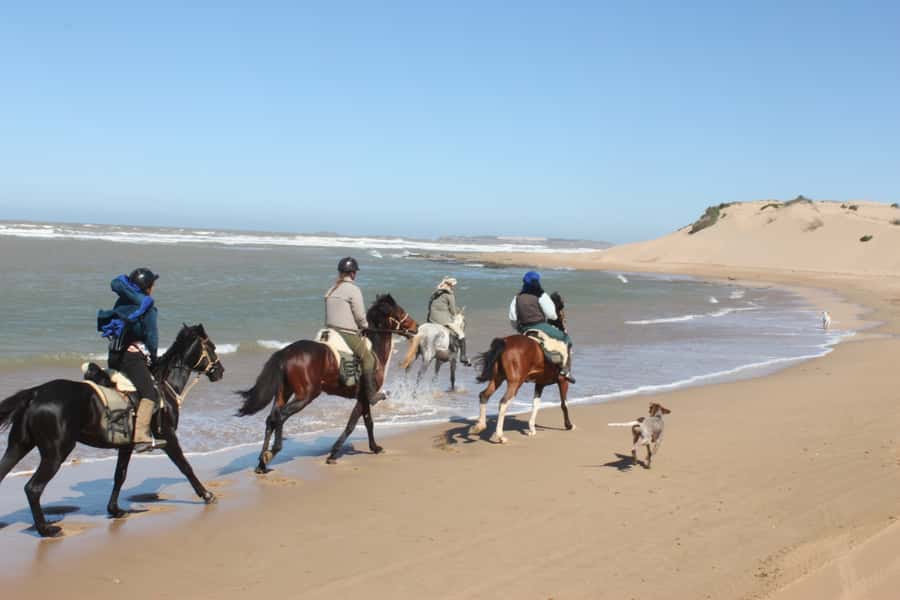 From Essaouira: 1-Hour Horse Ride with sunset - Beach riding on Essaouira sand with Mogador Island in view