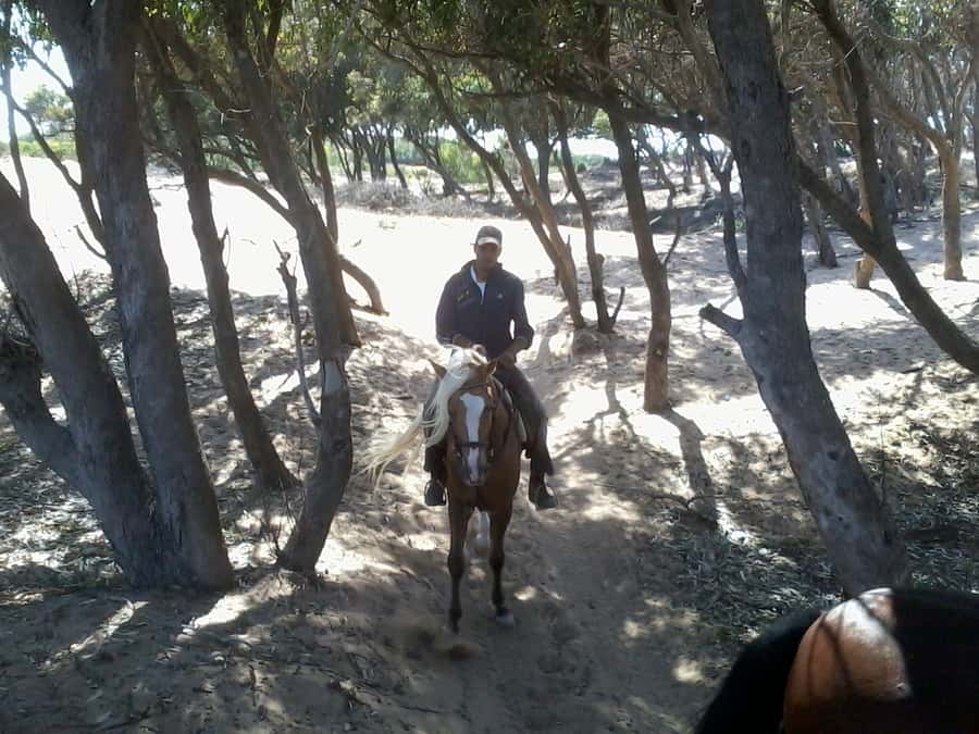 From Essaouira: 1-Hour Horse Ride with sunset - How the guide matches your comfort level (and keeps things calm)
