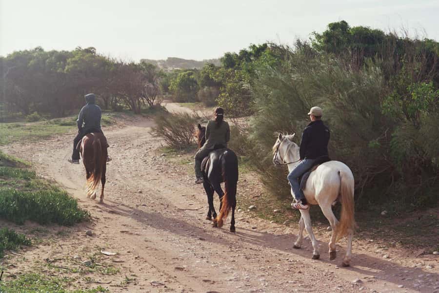 From Essaouira: 1-Hour Horse Ride with sunset - Sunset on horseback: why the last stretch feels special