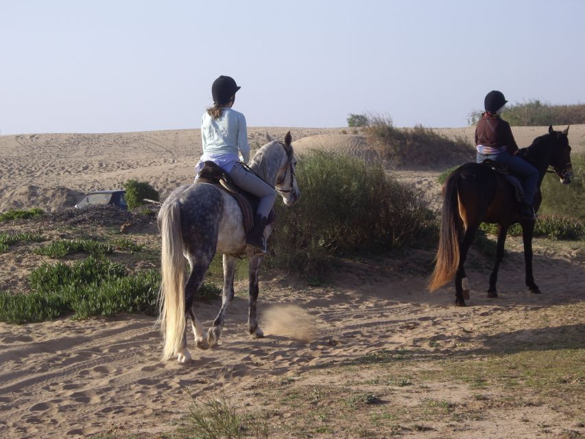 From Essaouira: 1-Hour Horse Ride with sunset - Who should book this ride (and who might skip it)