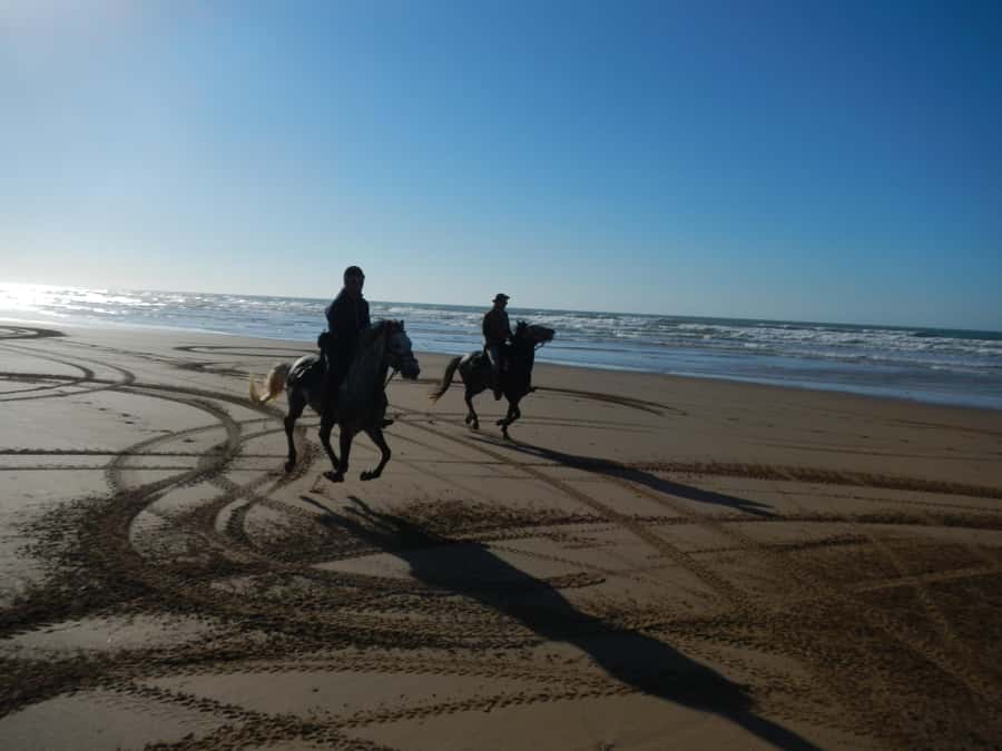 From Essaouira: 2h Horseback Ride with Sunset - From Essaouira to Diabat: How the Pickup Sets the Tone