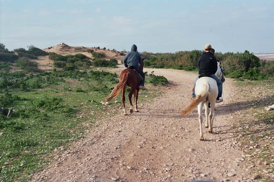 From Essaouira: 2h Horseback Ride with Sunset - Safety and Comfort: What You Need to Bring