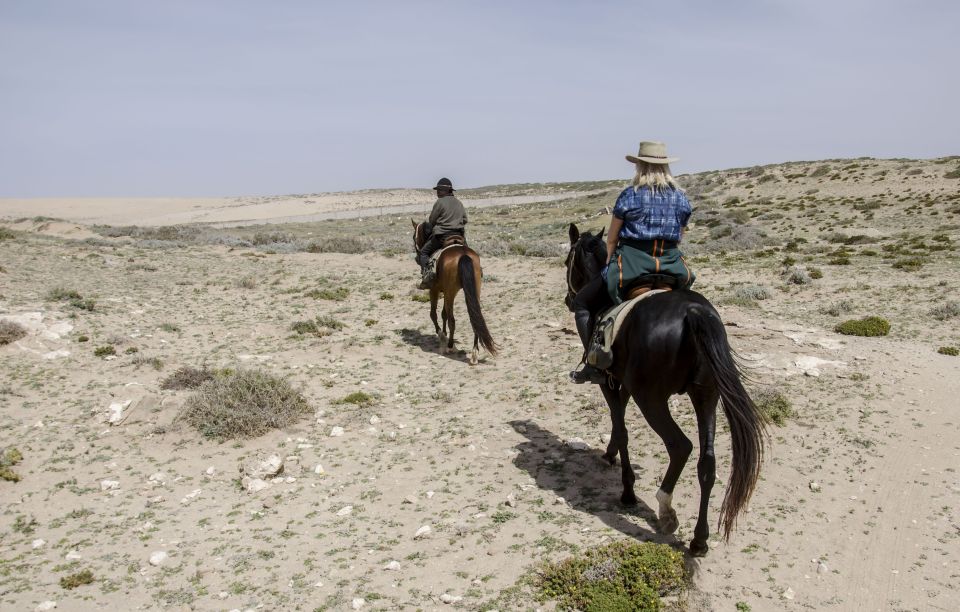 From Essaouira: 2h Horseback Ride with Sunset - Who This Tour Is Perfect For (and Who Might Want Something Else)