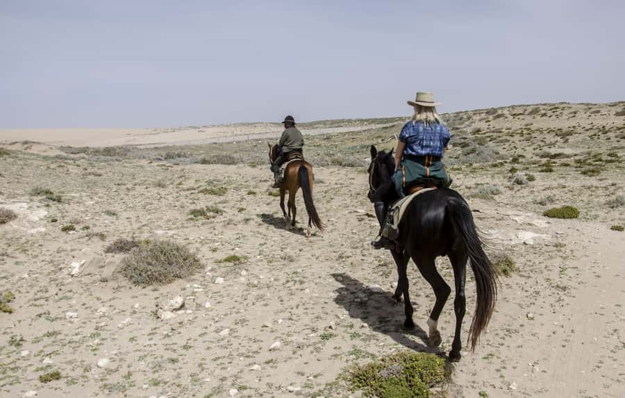 From Essaouira: Scenic Diabat Horseback Ride with Transfer - From Essaouira to Diabat: instant scenery change, minus the stress
