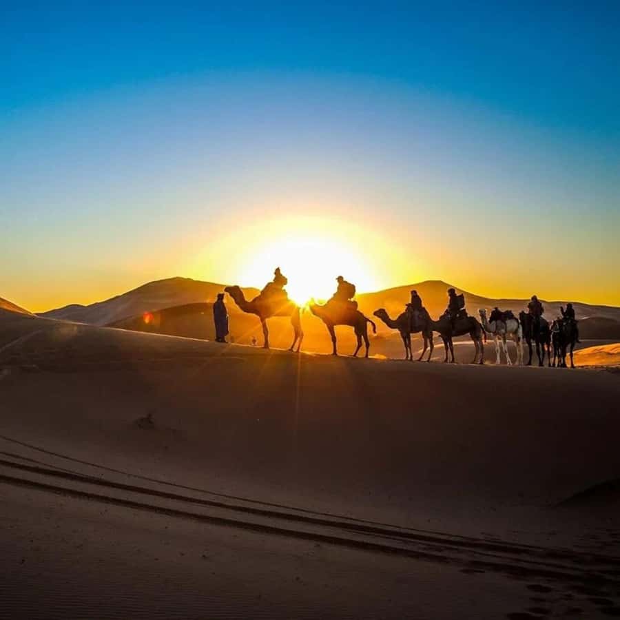 From Fes: 2-Day Luxury Desert Tour to Marrakech & Back Fez - From Fez to Ifrane: The Middle Atlas start that sets the mood
