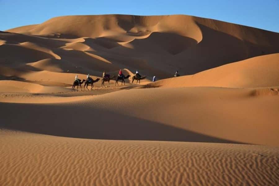 From Fes: 2-Day Luxury Desert Tour to Marrakech & Back Fez - Packing tips that actually help in the dunes and camp