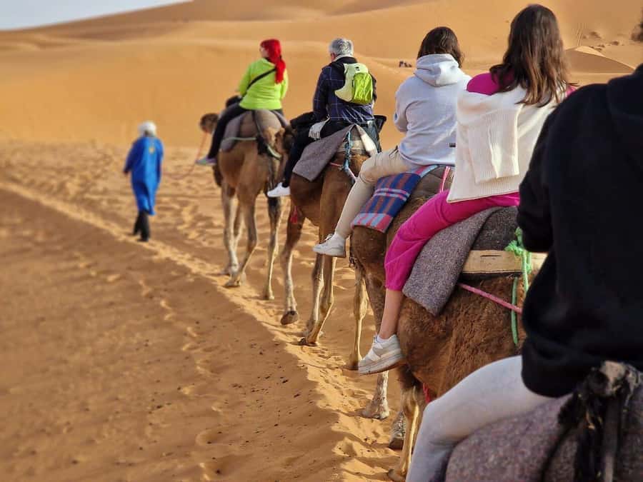 From Fes: 2-Day Luxury Desert Tour to Marrakech & Back Fez - Who should book this Fes luxury desert tour, and who should skip it