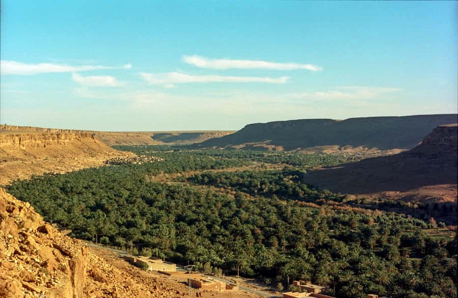 From Fes: 2-Day Luxury Desert Tour to Marrakech & Back Fez - Cedar forests and Ziz Valley: where the scenery turns cinematic