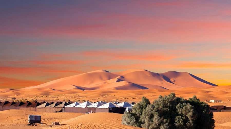 From Fes: 2-Day Merzouga Desert Trip w/Luxury Tent & Dinner - Ziz Valley to Erfoud: the long drive that actually earns its keep