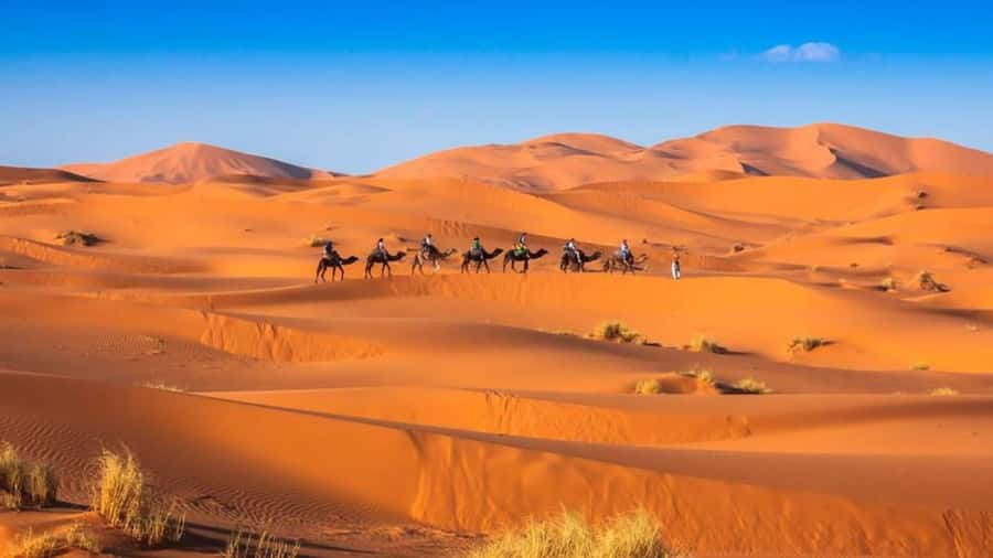 From Fes: 2-Day Merzouga Desert Trip w/Luxury Tent & Dinner - Sunrise on Erg Chebbi: the part you can’t rush
