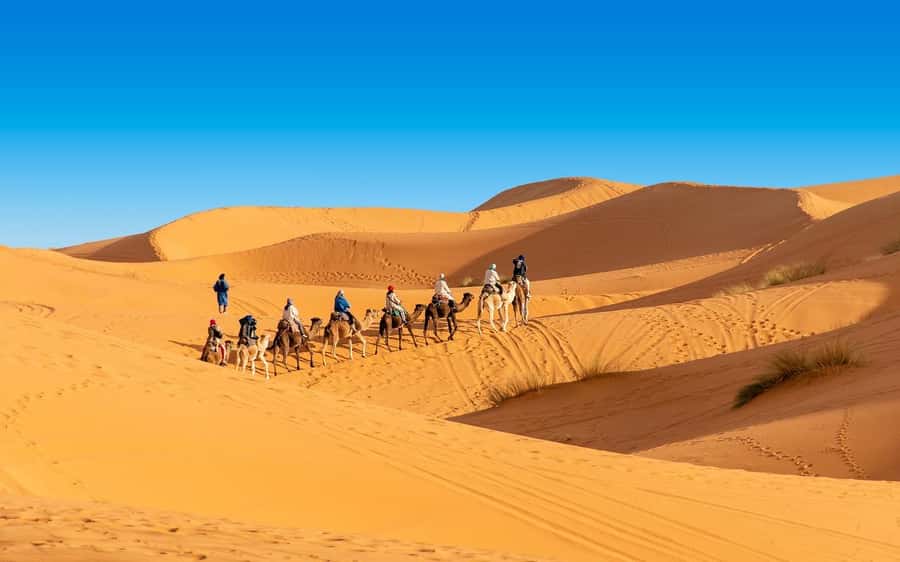 From Fes: 2-Day Merzouga Desert Trip(Luxury Tent & Dinner) - Merzouga day one: camels at sunset, sandboarding, and your nomad camp night