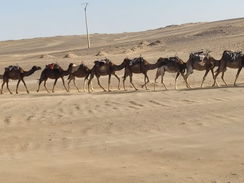 From Fes: 2 Day Round Trip Via Merzouga Desert & Camel Trek - Group size, private options, and the comfort level you’ll feel