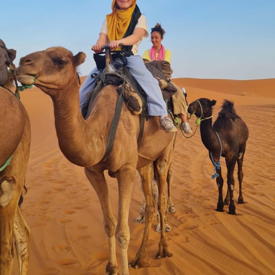 From Fes: 2 Day Round Trip Via Merzouga Desert & Camel Trek - Ifrane, cedar forests, and the Barbary monkeys you can actually see