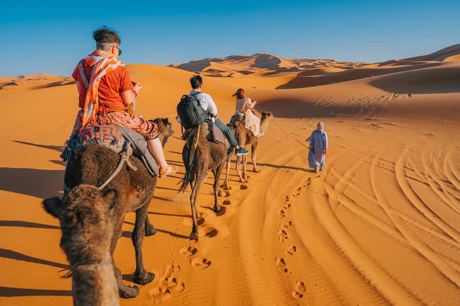 From Fes: 2-Day Sahara Tour with Private Tent & Meals - Should You Book This Tour?