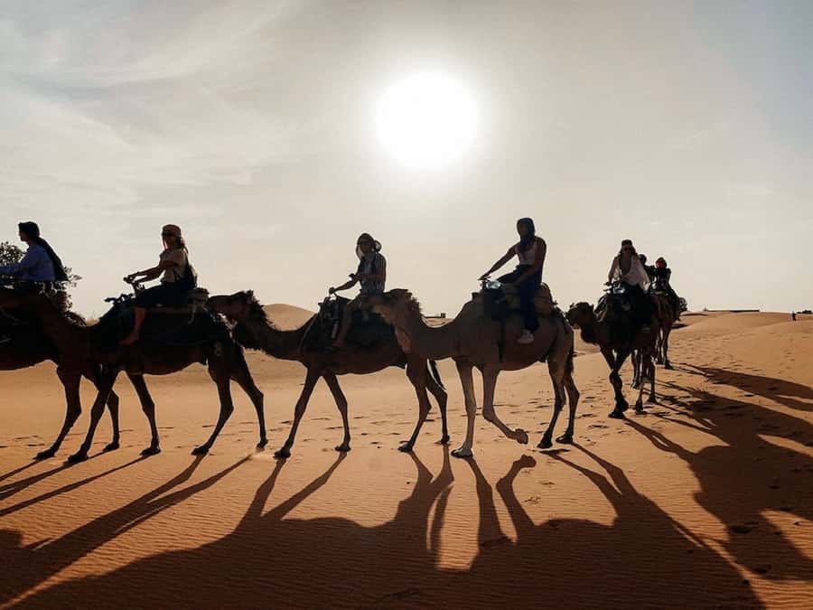 From Fes: 2 Day Trip to Marrakech via the Desert& Camel Trek - Midelt lunch break and Ziz Oasis: where the scenery starts to feel more “Sahara-adjacent”