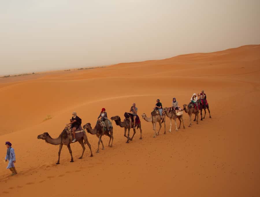 From Fes: 3-Day, 2-Night Desert Trip to Merzouga - Key points that make this trip worth your time