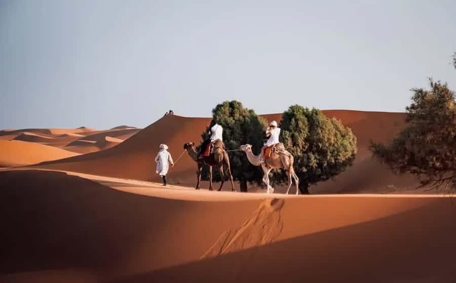 From Fes: 3-Day Luxury Desert Tour to Marrakech via Merzouga - Ouarzazate and Ait Ben Haddou: where cinema meets UNESCO
