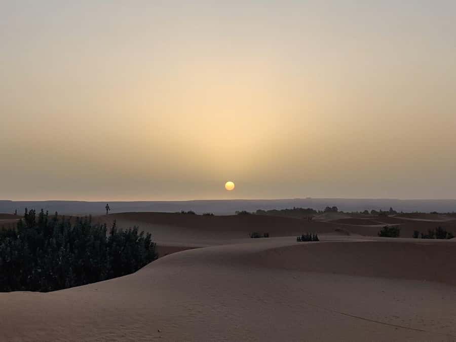 From Fes: 3-Day Luxury Desert Tour to Marrakech via Merzouga - High Atlas pass and the long road to Marrakech